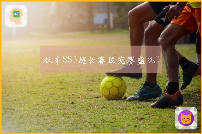 双车SS3超长赛段完赛盛况！